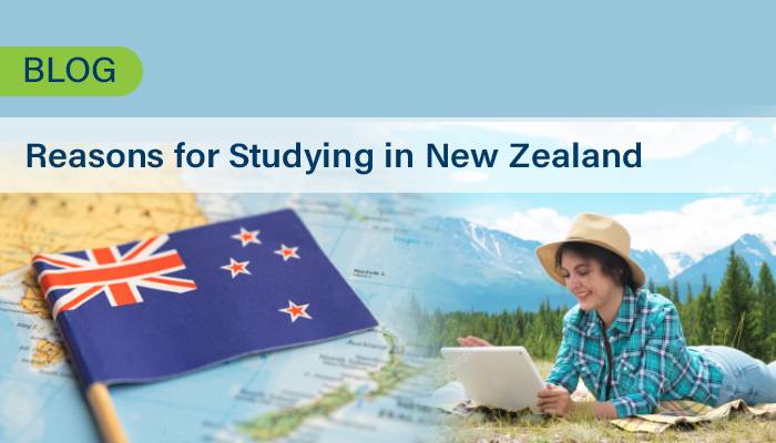 Reasons for Studying in New Zealand
